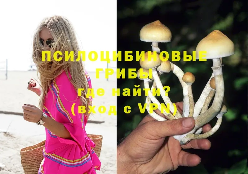 Псилоцибиновые грибы MAGIC MUSHROOMS  Сорск 